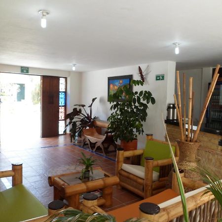 Hotel La Hormiga 莱瓦镇 外观 照片